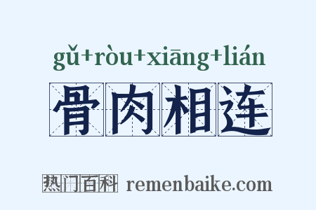 骨肉相连是什么意思的图片